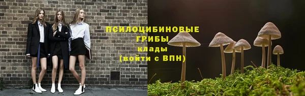 трава Алексин