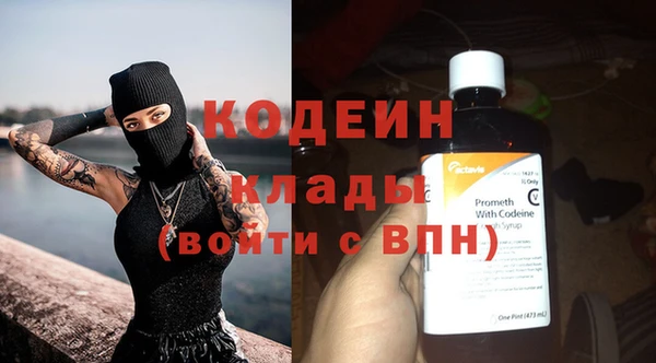 ECSTASY Алзамай