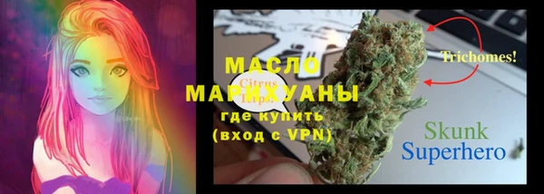 ECSTASY Алзамай