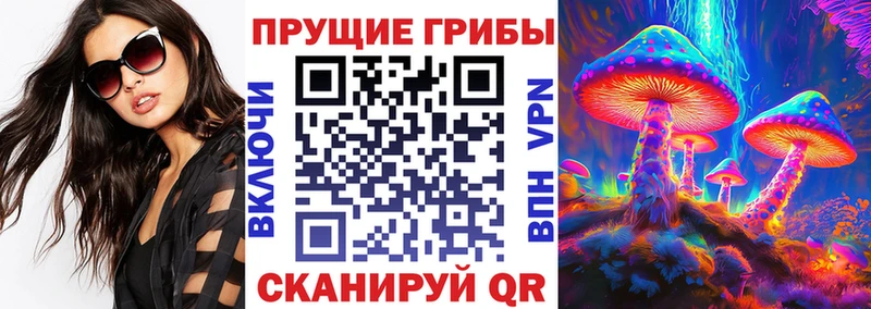 Псилоцибиновые грибы Psilocybine cubensis  купить наркотики цена  Новозыбков 